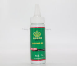 Colour Powder ( GREEN )