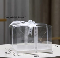 Transparent 2p Set 22x16cm