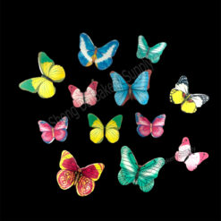 Edible Butterflies ( small box )