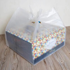 10" Square Frost Plastic Bag